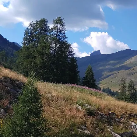 La Foux D'allos, Confortable, Proche Du Centre