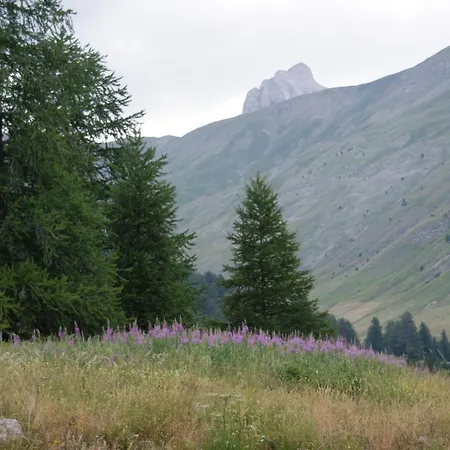 La Foux D'allos, Confortable, Proche Du Centre *